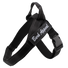 Reflective Ultra Harness
