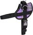 Reflective No-Pull Harness (Hibiscus, Plaid, and Camo)