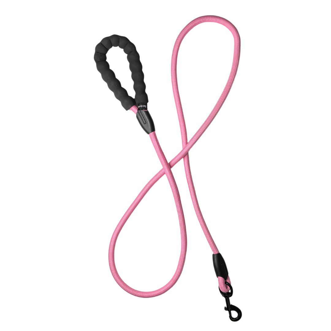 Leashes Poly Rope Rope Leash 6' – Bark Appeal