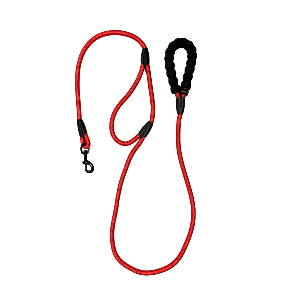 Leashes Poly Rope 6