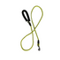 Rope Leash 4'