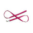 Reflective Trim Leashes 5'