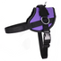 Solid Reflective No-Pull Harness